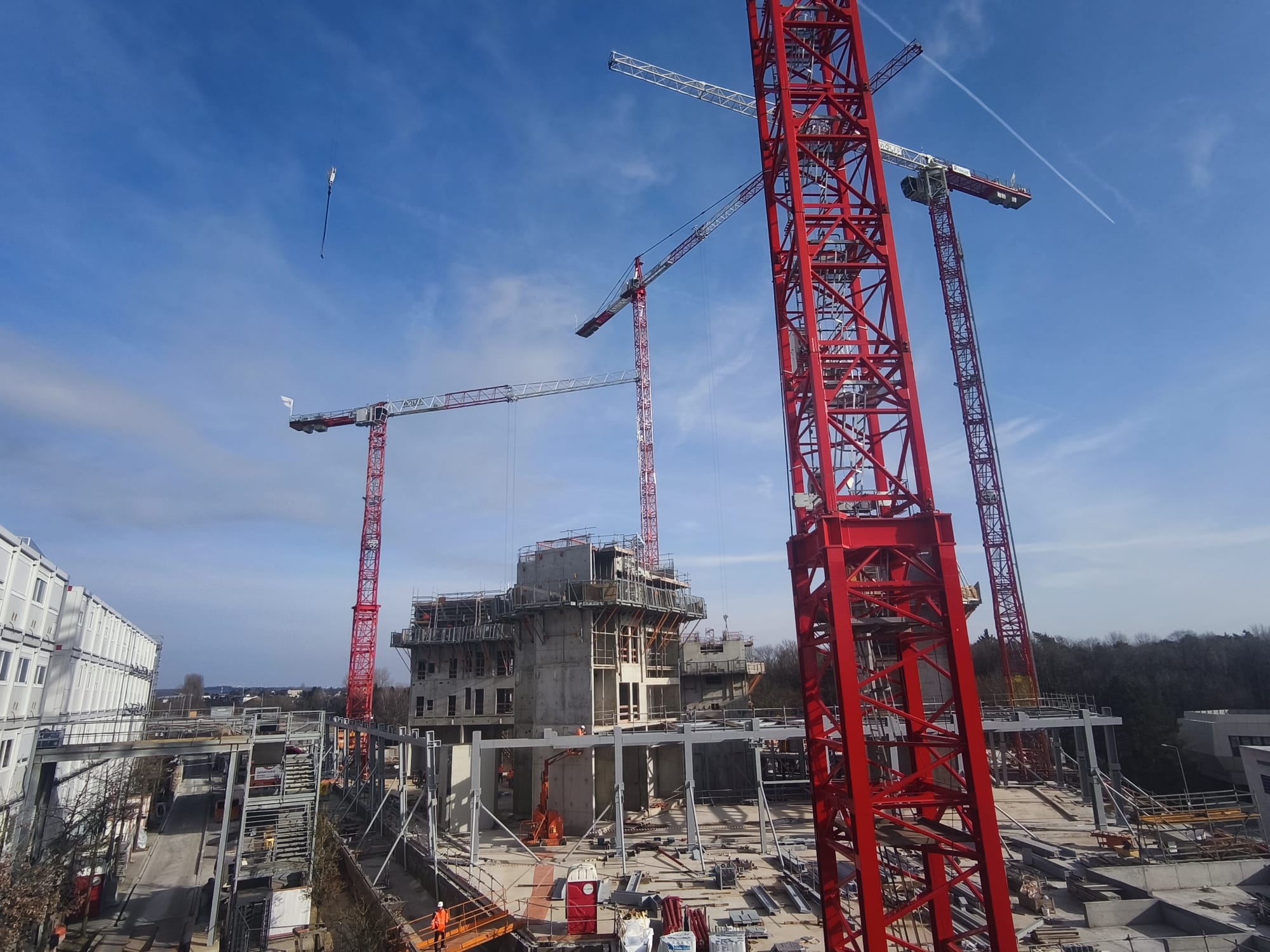 WhatsApp Image 2025-02-24 at 16.05.53 (2)