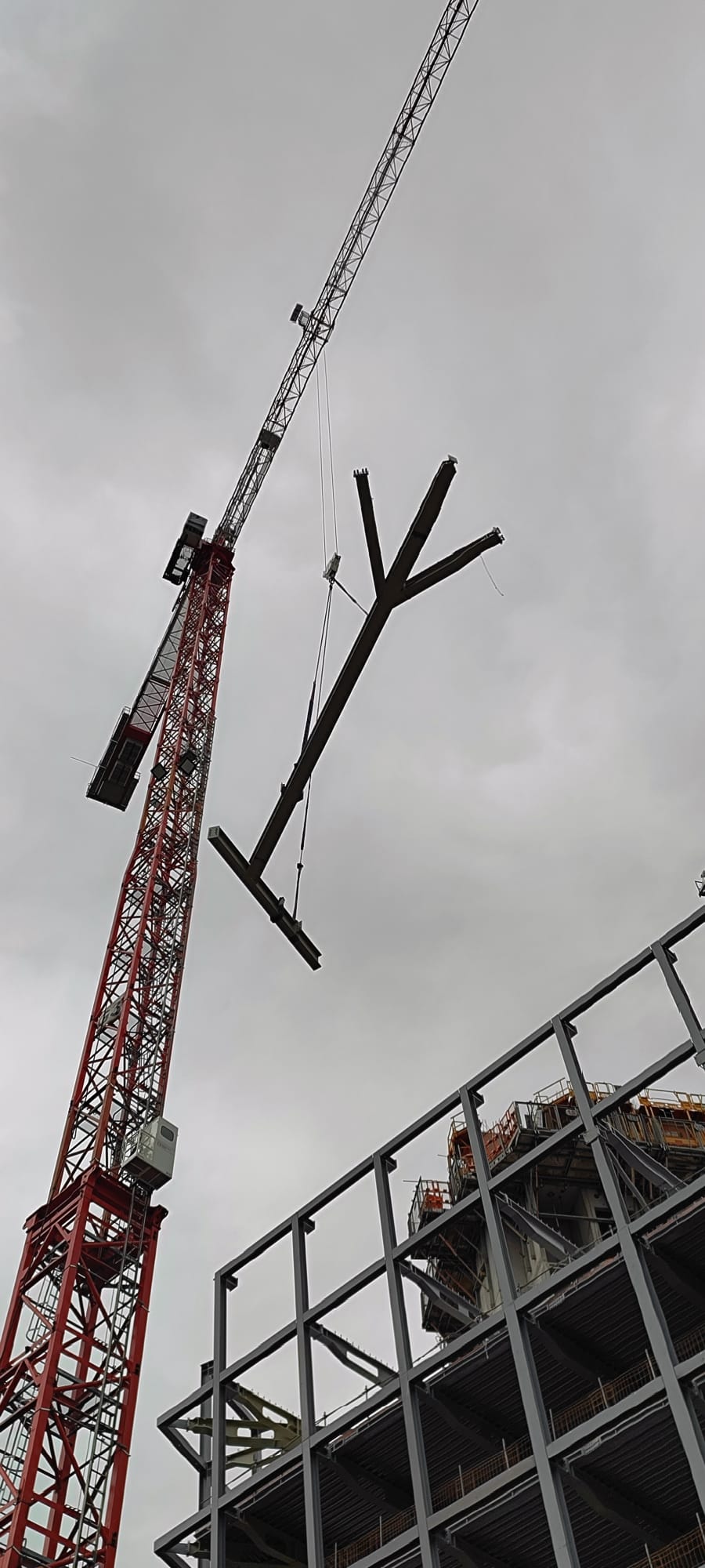 WhatsApp Image 2026-01-22 at 20.30.40